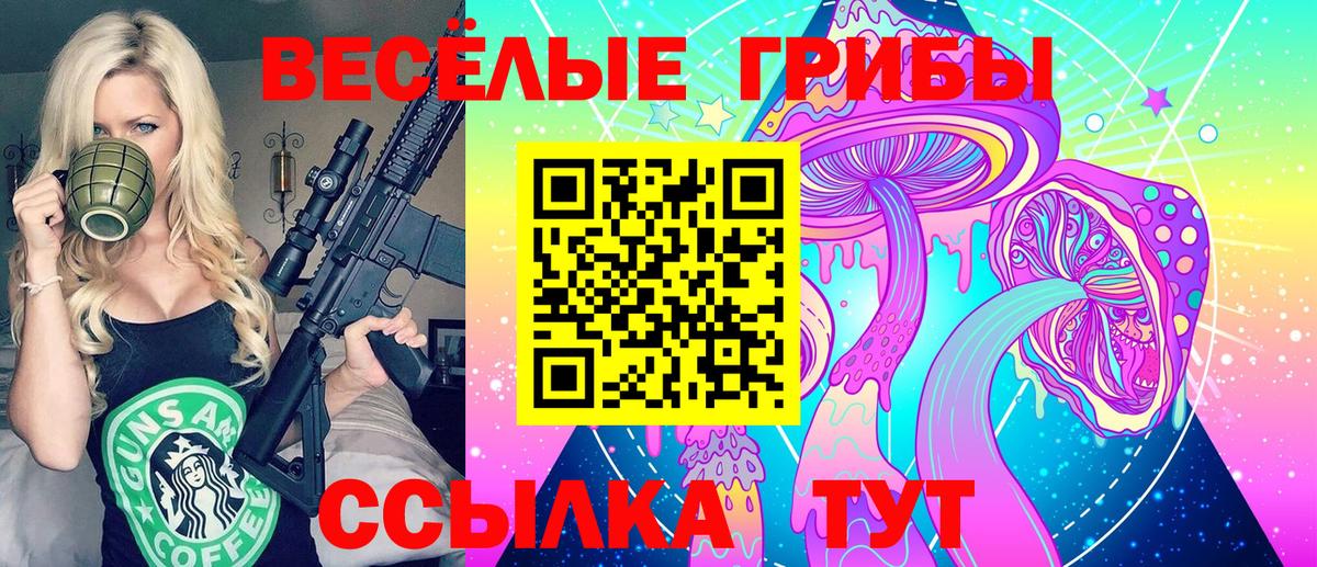 Галлюциногенные грибы мухоморы  Псилоцибиновые грибы мухоморы  купить  сайты  Вход с VPN  Людиново 